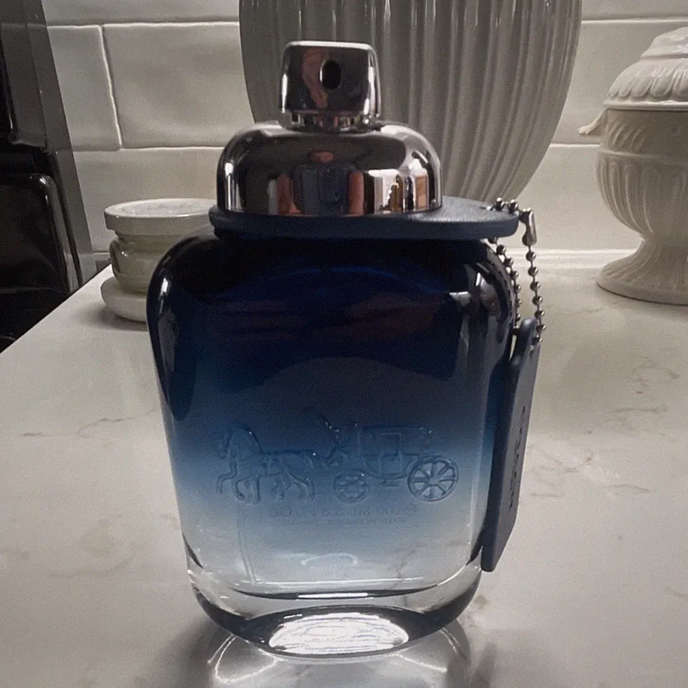 Coach Blue Eau de Toilette Spray 3.3 fl oz Regular Size Men's Fragrance